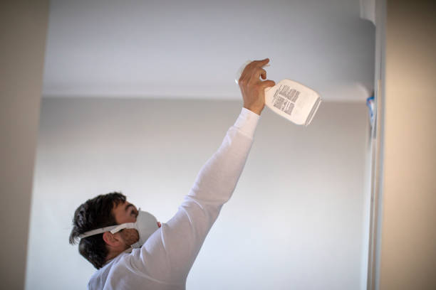 Best Mold Testing and Inspection Services in Sheboygan, WI