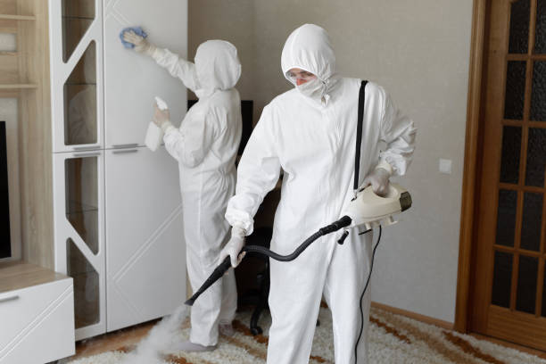 Best Post-Flood Mold Remediation in Sheboygan, WI