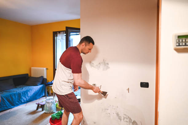 Best Localized Mold Remediation (e.g., coastal areas, humid climates) in Sheboygan, WI