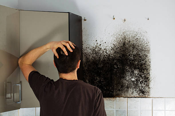 Sheboygan, WI Mold Remediation Company